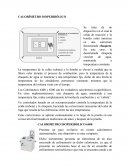 CALORÍMETRO ISOPERIBÓLICO