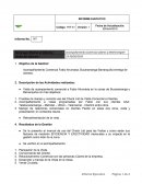 INFORME EJECUTIVO Acompañamiento Comercial Lideres y KAM Energitel
