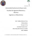 Tribología y uso de prótesis de cadera de metal sobre metal: influencia de ángulo de copa y posición de cabeza