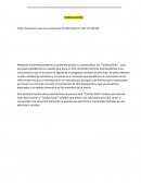 Plan de negocios “Tortitas kürbi”