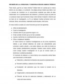 REVISIÓN DE LA LITERATURA Y CONSTRUCCIÓN DEL MARCO TEÓRICO