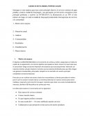 EJERCICIO FLORIDA POWER LIGHT