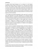 MICRO CUENCA PEJEYACU