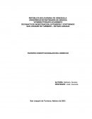 FUENTES CONSTITUCIONALES DEL DERECHO