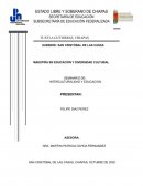 CULTURA Y METACULTURA