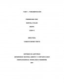 Sistemas de auditoria