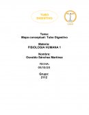 Mapa conceptual: Tubo Digestivo