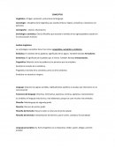 Guia de Lexicologia Juridica