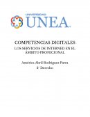 LOS SERVICIOS DE INTERNET EN EL ÁMBITO PROFESIONAL