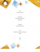 La acción psicosocial