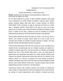 COSAS VOLADORAS Y COHETES DE PAJA