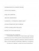 ELEMENTOS DEL TIPO CULPABILIDAD