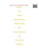 IMPACTO QUE INFLUYO EL CORONAVIRUS EN LA SOCIEDAD