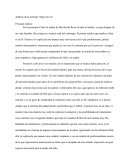 Analisis de la pelicula siguiendo la luz