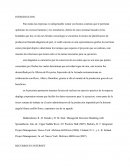 Administracion de proyectos. INTRODUCCION