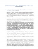 CASO CAPITULO 1 – ORGANIZACIONES Y EFECTIVIDAD ORGANIZACIONAL