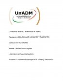Delimitación conceptual de crimen y criminalidad