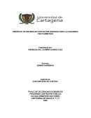 DISEÑO DE UN SISTEMA DE COSTOS POR PROCESO PARA LA PANADERIA PAN CARIBE SAS