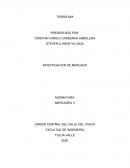 INVESTIGACION DE MERCADO TIERRA MIA