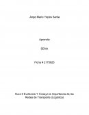Ensayo la Importancia de las Redes de Transporte (Logística)