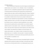 Combustibles Alternativos
