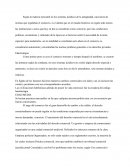 La evolucion de comercialidad