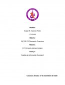 Ensayo: “Análisis de información financiera”