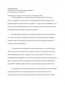 Electromagnetismo (Redirigido desde «Interacción electromagnética»)