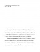 Lecturas etnográficas el viajero subterráneo