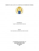 PERSPECTIVA DE LAS TIC EN LA ENSEÑANZA EN TIEMPOS DE PANDEMIA