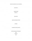 Actividad toma de decisiones en el nivel gerencial