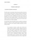 Politicas sociales. Ciclo de vida de las politicas sociales