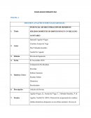 FORMATO RAE- RESUMEN ANALÍTICO ESPECIALIZADO