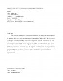 IMAGEN DEL ARTE EVALUADA CON LAS CARACTERISTICAS. EL SOL