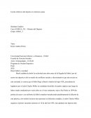 Brasil futbol y sociedad