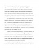 Efectos teratógenos en el desarrollo embrionario