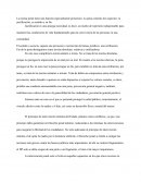 Caso práctico. La norma penal