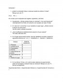 Entrevistas transcritas