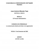 POSIBLES CONFLICTOS EN LA ORGANIZACIÓN