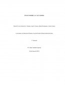 EL USO DE LA CALCULADOA, ¿PERJUDICA O BENEFICIA?