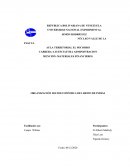 ORGANIZACIÓN SOCIOECONÓMICA DEL REINO DE INDIAS