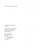 Caso empresa “Industrias Eléctricas Ltda.”