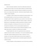 ENSAYO SOBRE FIJACIÓN VIDEOGRÁFICA