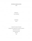 PSICOLOGIA ORGANIZACIONAL. TEORIAS ADMINISTRATIVAS Y SUS APORTES