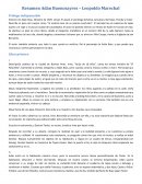 Resumen Adan Buenosayres