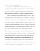 RESILIENCIA: ENFOQUE ORGANIZACIONAL