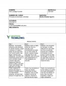 Principios de bienestar y felicidad