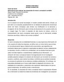 Síntesis Analítica Alternativas para mejorar las propuestas de marco conceptual contable