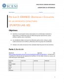 CRANEO: Diversidad y Evolución de las diferentes estructuras