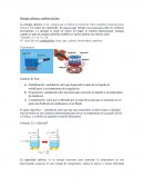 Energía calórica y cambios de fase